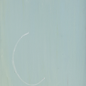 L 2011 Olio su tela, Oil on canvas 70X52 cm