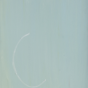 L 2011 Olio su tela, Oil on canvas 70X52 cm