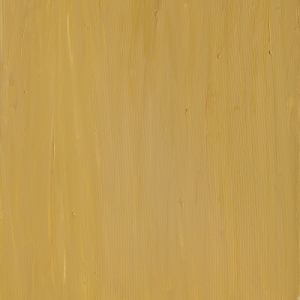 Butta (Brings) 2011 Olio su tela, Oil on canvas 77X66 cm