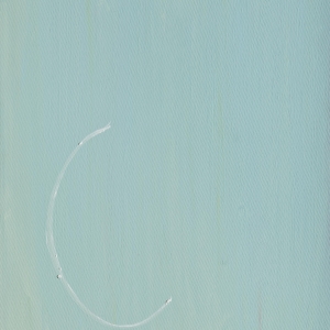L 2011 Olio su tela, Oil on canvas 70X52 cm Copyright photo Filippo Armellin