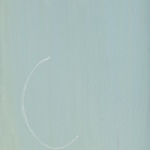 L 2011 Olio su tela, Oil on canvas 70X52 cm (copyright foto Filippo Armellin)